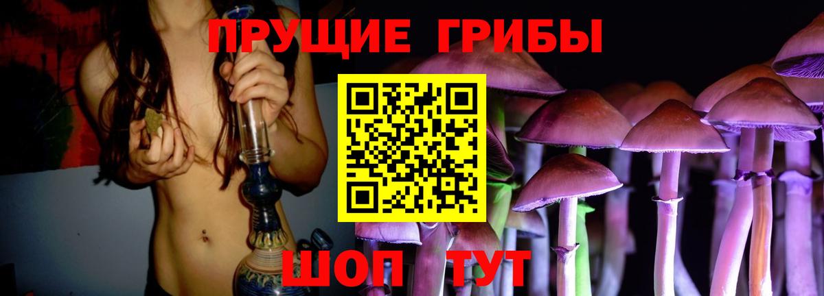Балахна  Псилоцибиновые грибы Cubensis  Вход с VPN  Псилоцибиновые грибы MAGIC MUSHROOMS 